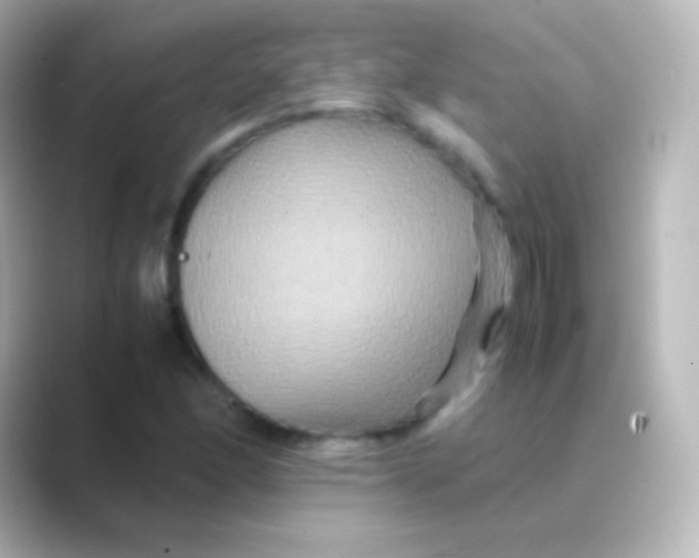 X0000088721166200706212015