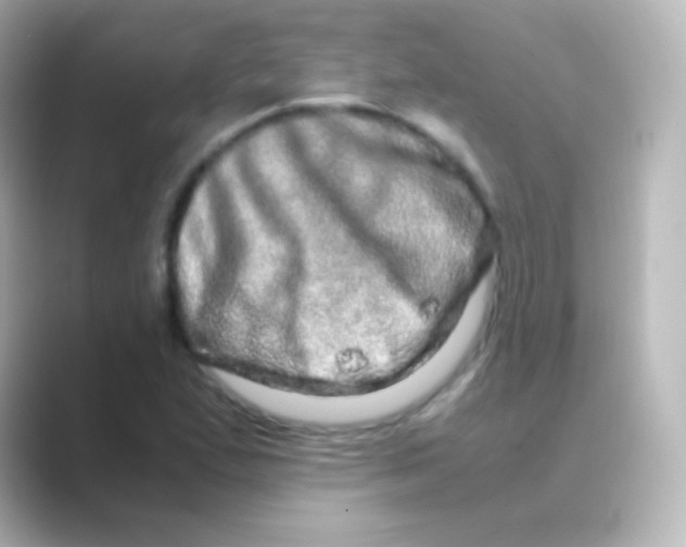 X0000088721167200706212015