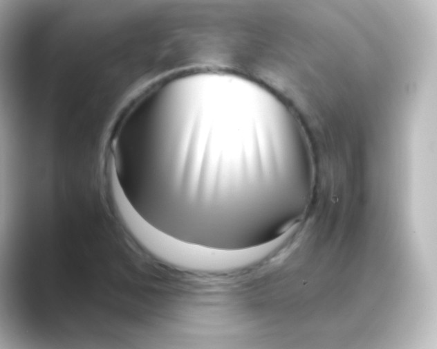 X0000088721168200706212015