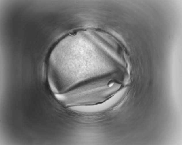 X0000088721171200706212015