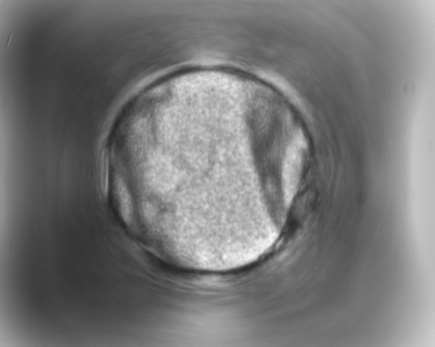 X0000088721175200706212015