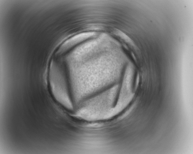 X0000088721178200706212015