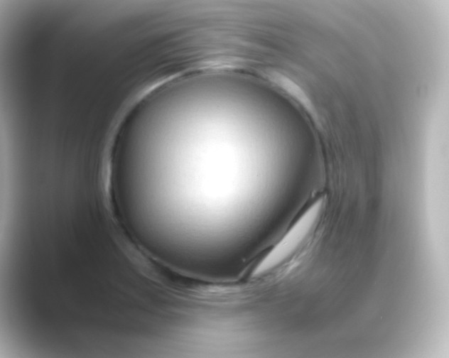 X0000088721179200706212015