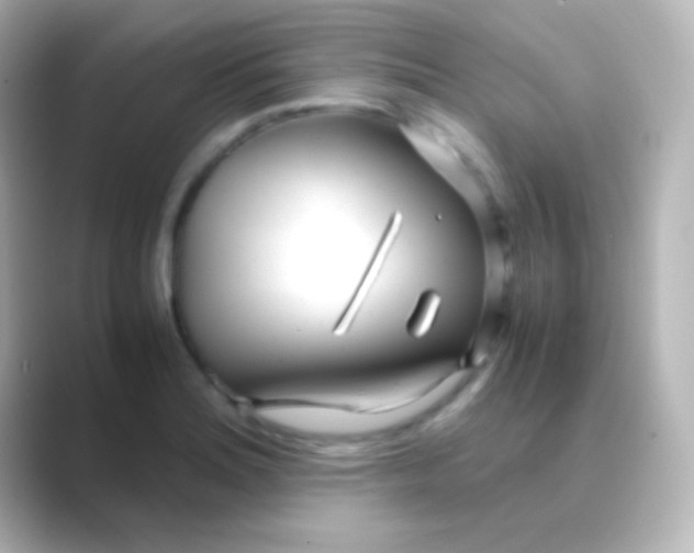 X0000088721180200706212015