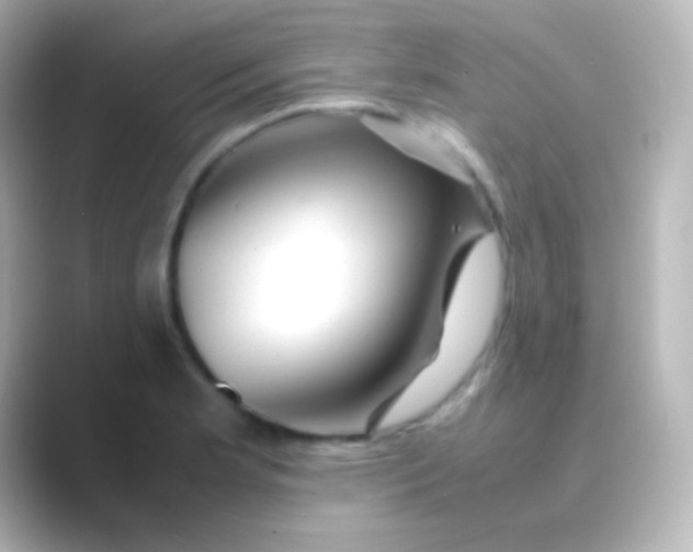 X0000088721181200706212015