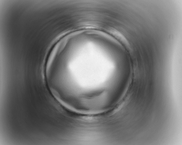 X0000088721182200706212015