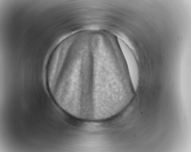 X0000088721187200706212015