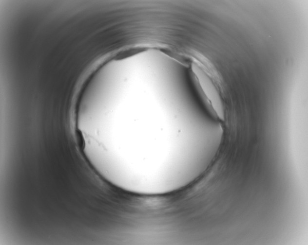 X0000088721188200706212015