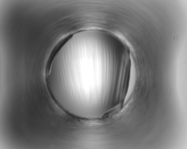 X0000088721189200706212015