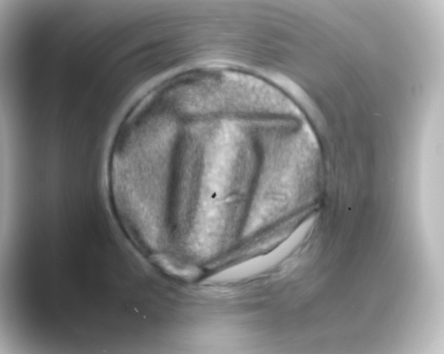 X0000088721191200706212015