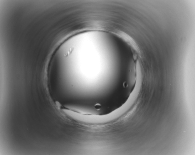 X0000088721192200706212015