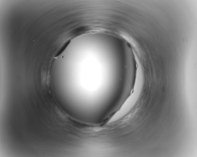 X0000088721193200706212015