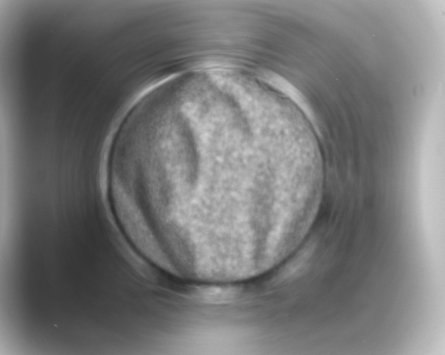 X0000088721195200706212015