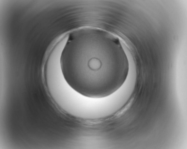 X0000088721196200706212015