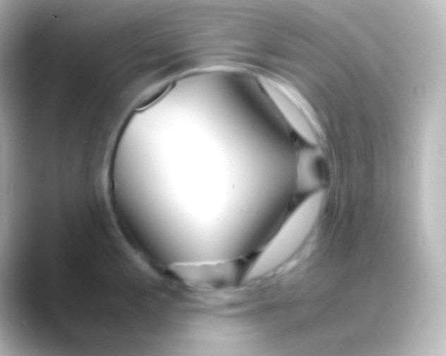 X0000088721197200706212015