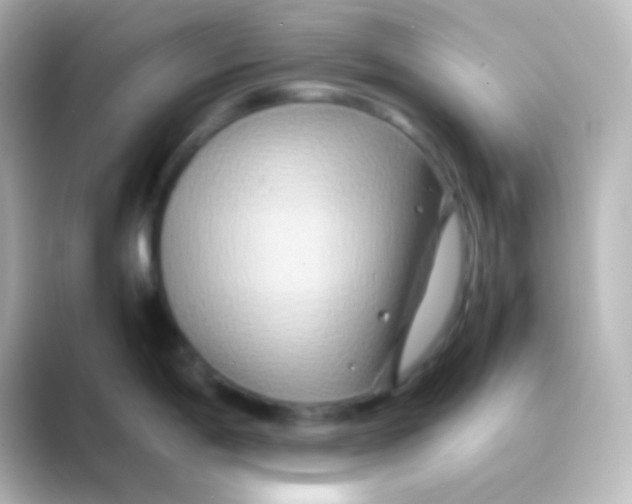 X0000088721198200706212015