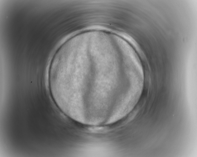 X0000088721199200706212015