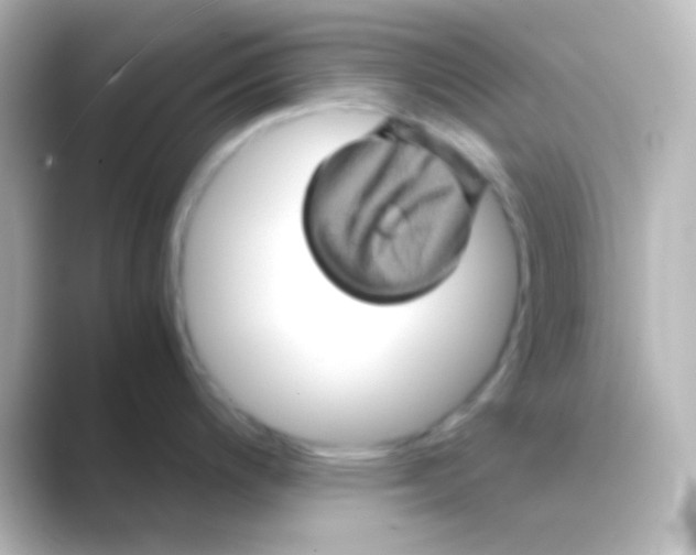 X0000088721200200706212015