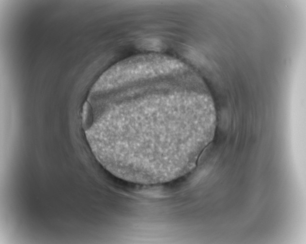 X0000088721201200706212014