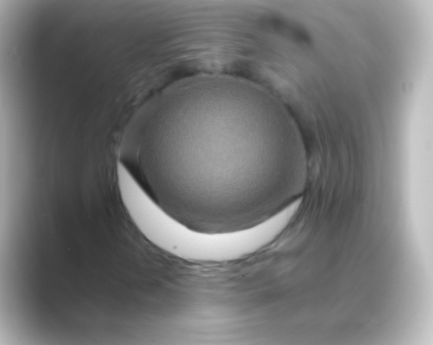 X0000088721202200706212014