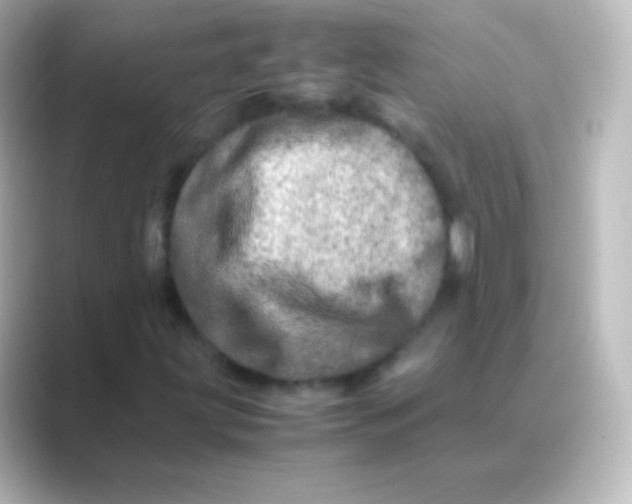 X0000088721203200706212014