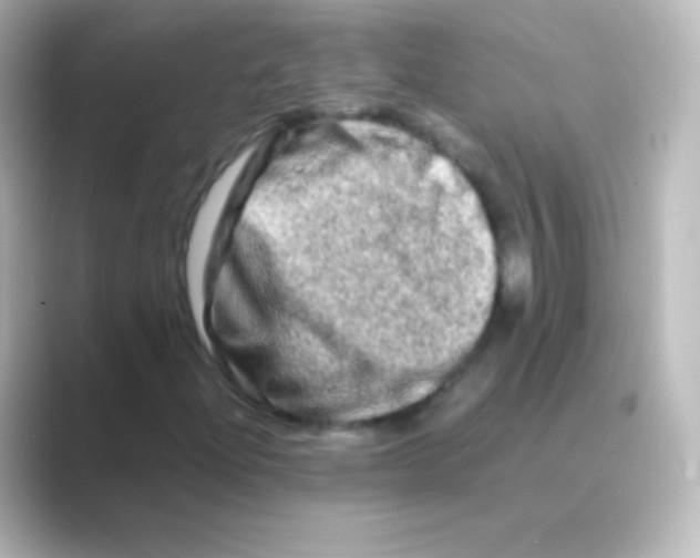 X0000088721204200706212014