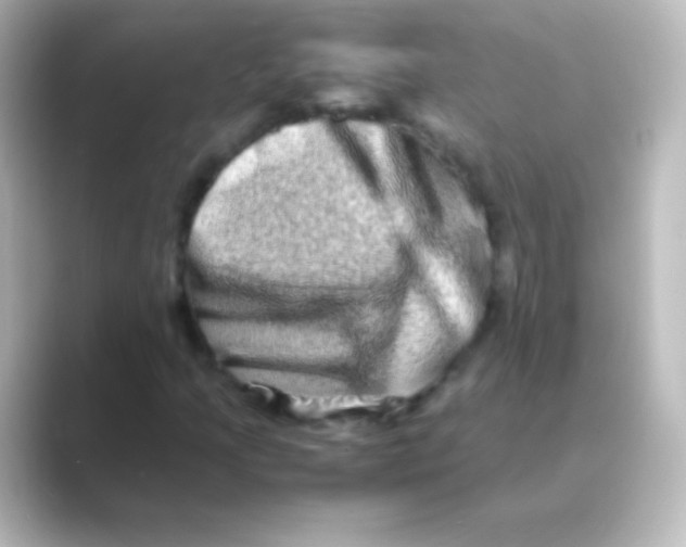 X0000088721205200706212014