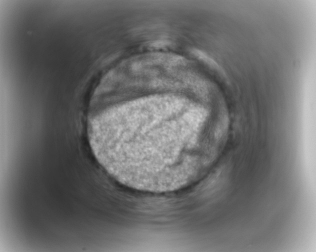 X0000088721207200706212014