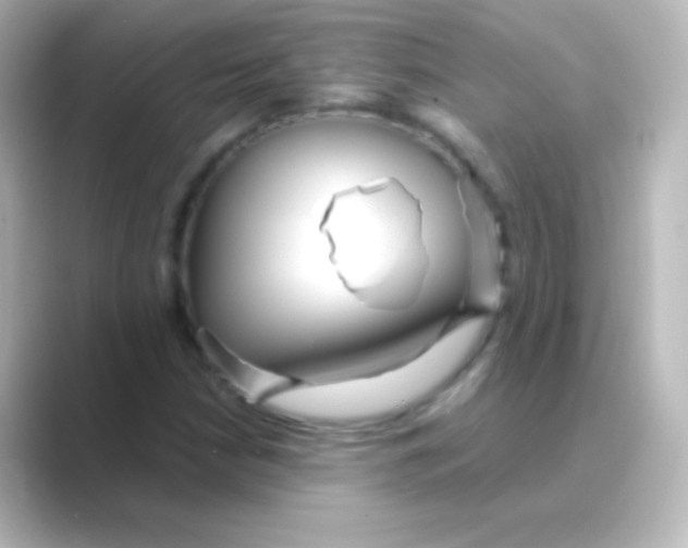 X0000088721210200706212014