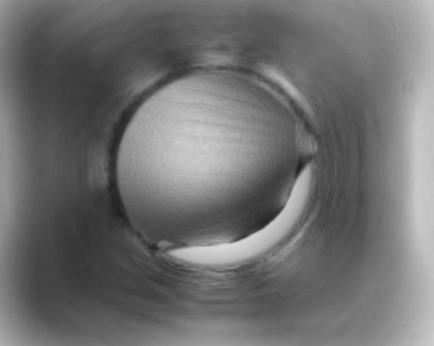 X0000088721213200706212014