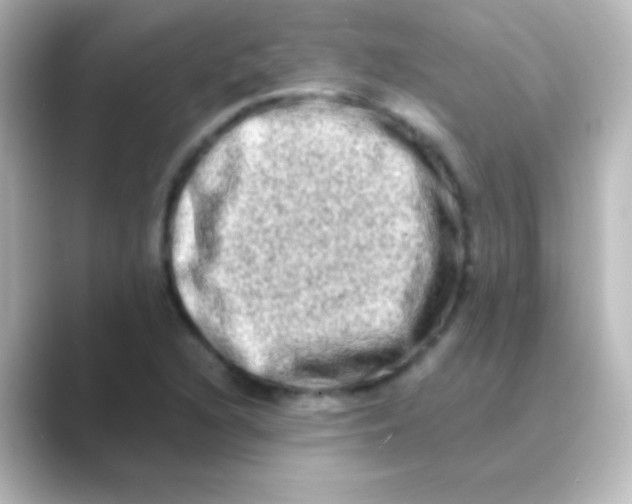 X0000088721216200706212014