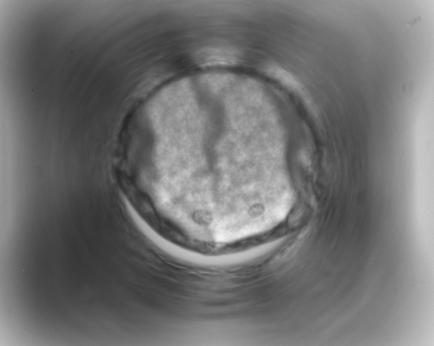 X0000088721217200706212014