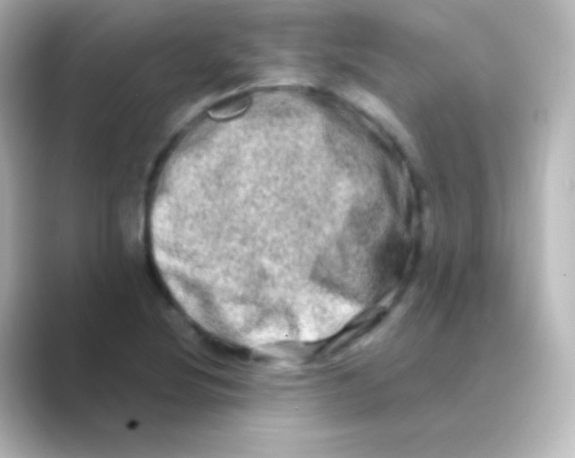 X0000088721220200706212015