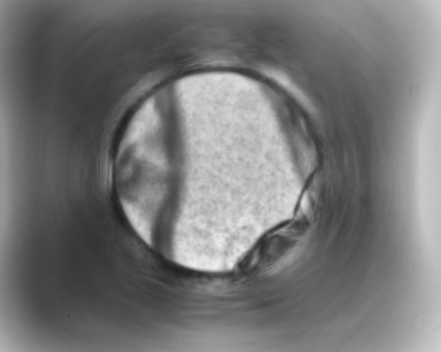 X0000088721221200706212015