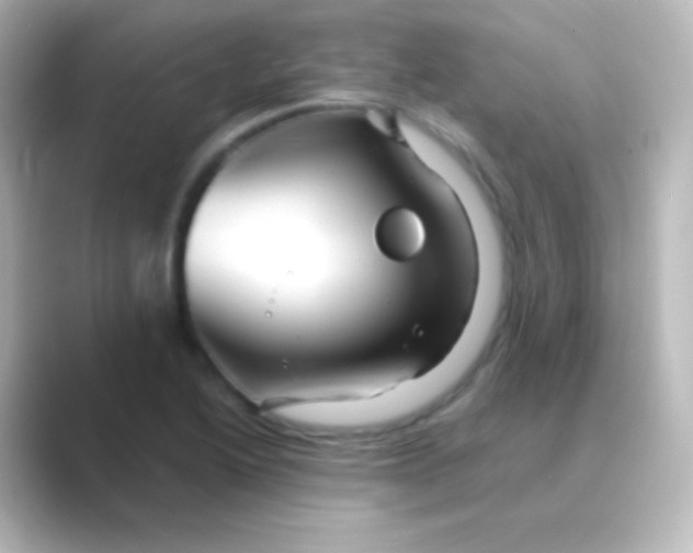 X0000088721222200706212015