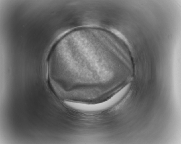 X0000088721223200706212015