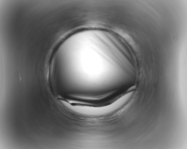 X0000088721224200706212015