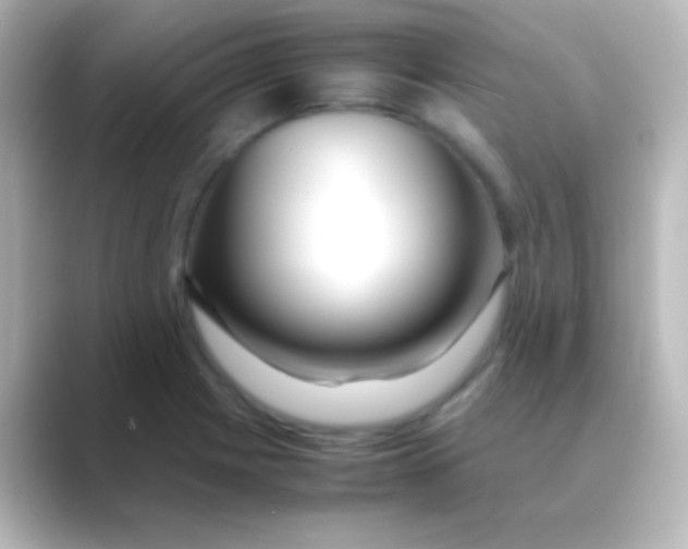 X0000088721225200706212015