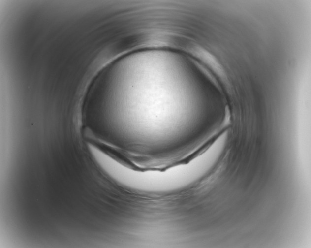 X0000088721226200706212015