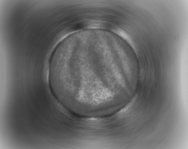 X0000088721227200706212015