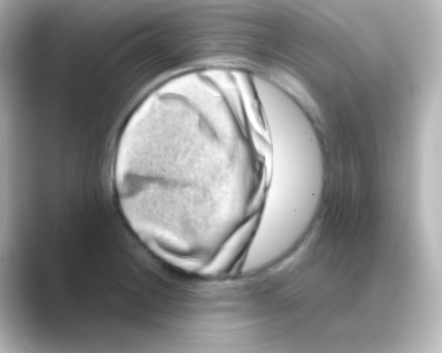 X0000088721228200706212015