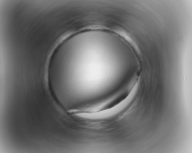 X0000088721229200706212015