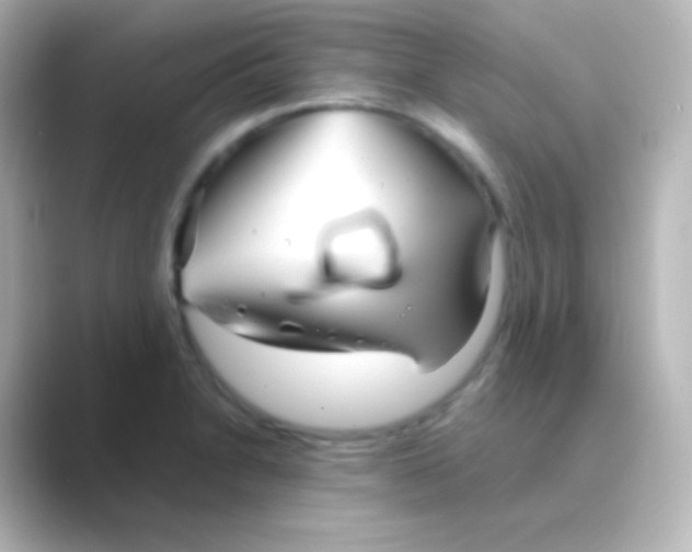 X0000088721230200706212015