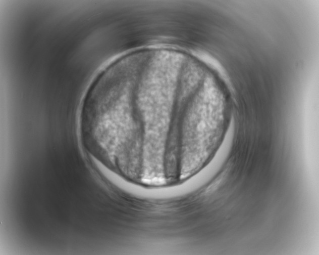 X0000088721231200706212015