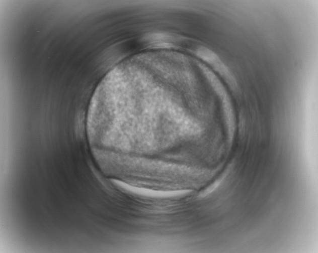 X0000088721233200706212015