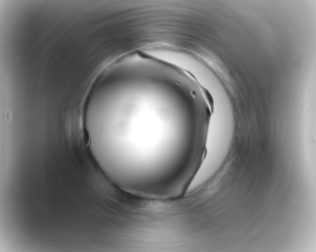 X0000088721234200706212015