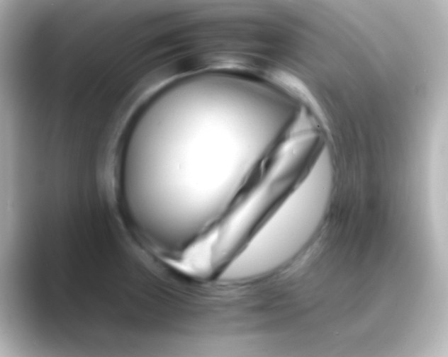 X0000088721235200706212015