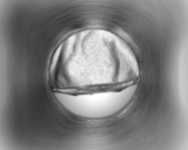 X0000088721236200706212015