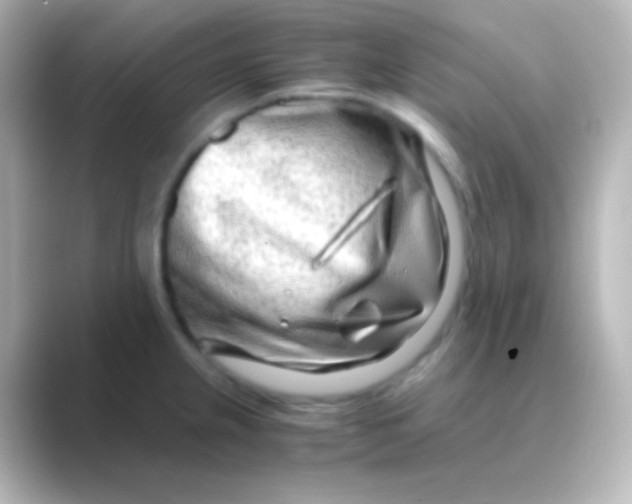 X0000088721237200706212015