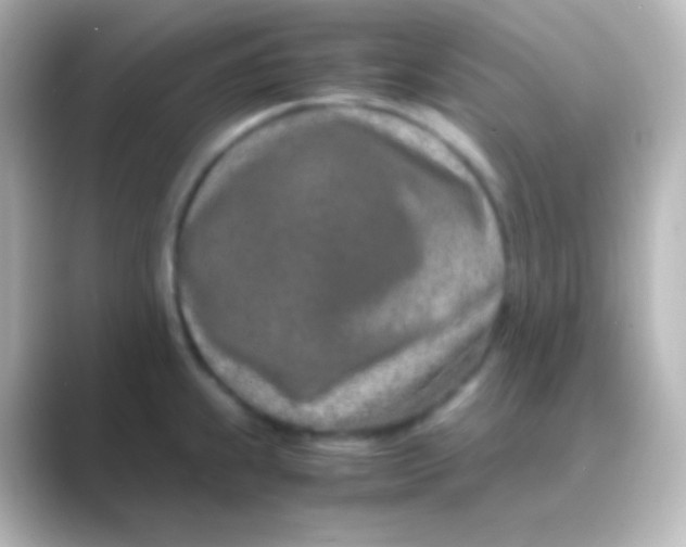 X0000088721239200706212015